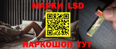 стафф Новокубанск