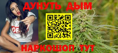 стафф Новокубанск