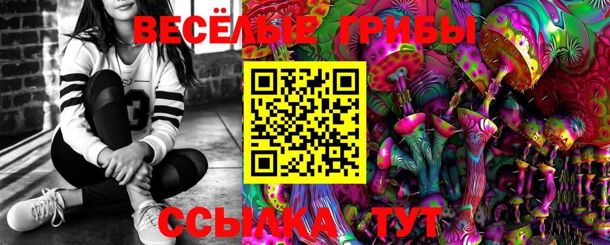 Псилоцибиновые грибы GOLDEN TEACHER  Вход с VPN  Алейск 